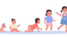 Timeline: BIO COMO HIJA