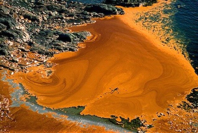 Exxon Spill in Alaska