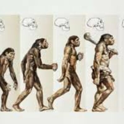 Timeline: PERIODO PRETYERINO