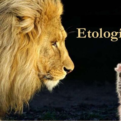 Timeline: Historia de la Etología