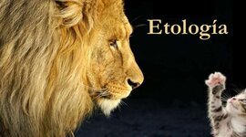 Timeline: Historia de la Etología