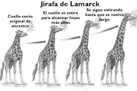 Jean-Baptiste de Monet de Lamarck 1809 D.C