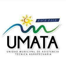 Ley 607 de 2000 UMATA