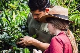 Incentivo a la Asistencia Técnica