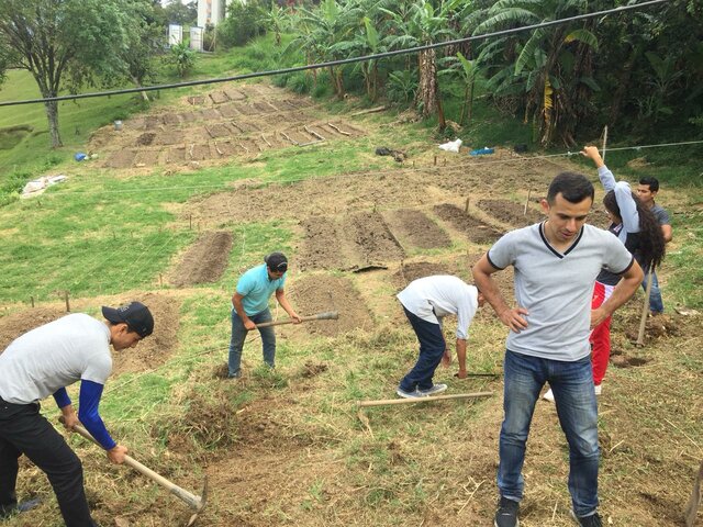 Programa de Rural de Desarrollo Integrado (DRI)