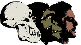 Timeline: Actividad integradora 1. Posturas de la evolución