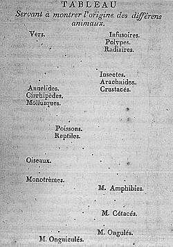 Filosofía Zoológica