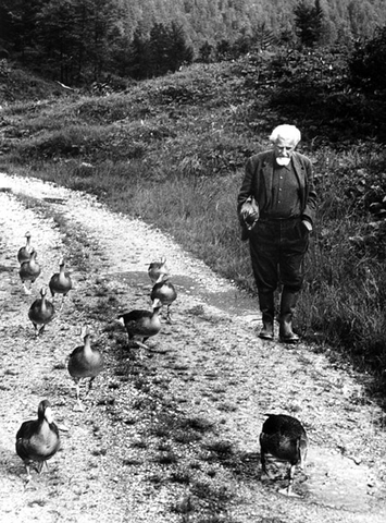 Konrad Lorenz 1935 D.C