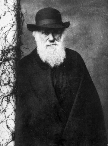 Darwin's Later Years