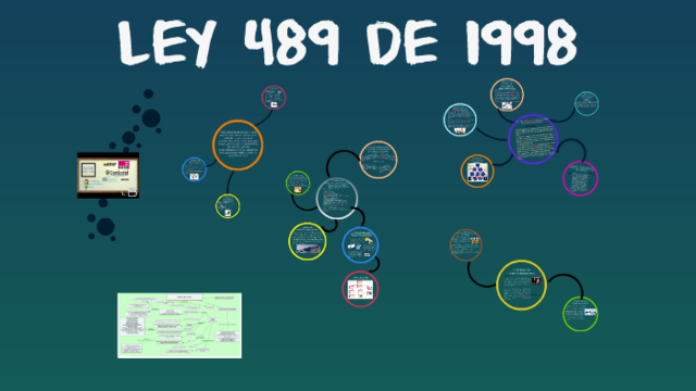 Ley 489