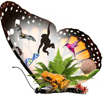 Timeline: La historia de la Biología y de la enseñanza de las Ciencias Naturales y de la Biología