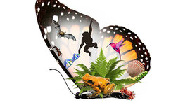 Timeline: La historia de la Biología y de la enseñanza de las Ciencias Naturales y de la Biología