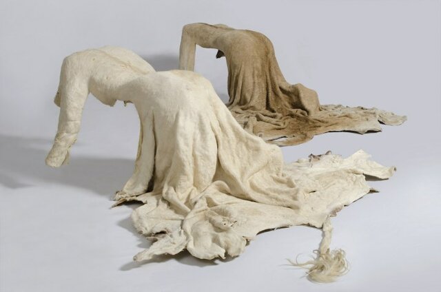 “Umfanekiso wesibuko (Mirror image)”