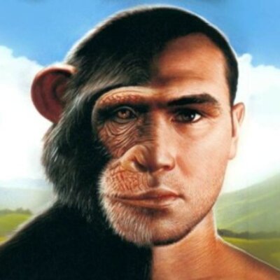 Timeline: OMINAZIONE