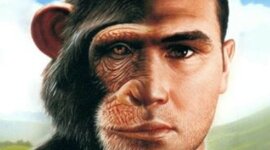 Timeline: OMINAZIONE