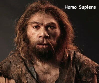 HOMO SAPIENS DI NEANDERTHAL