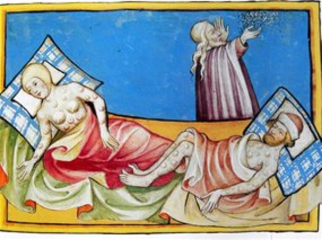 The Black Death peaked during this year