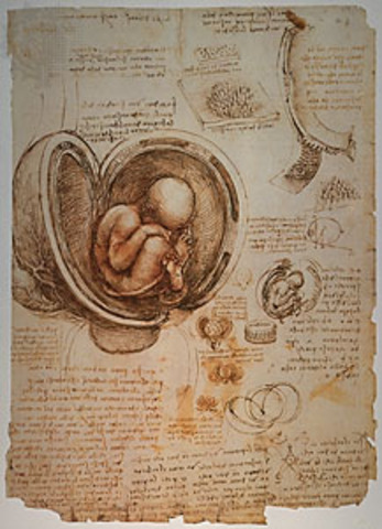 Knowledge of Childbirth