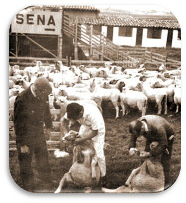 1970 Avances y ajustes