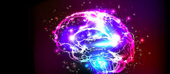 Neuropsicología humana