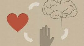 Timeline: COGNITIVO CODUCTUAL