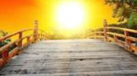 Timeline: BIO COMO HIJA