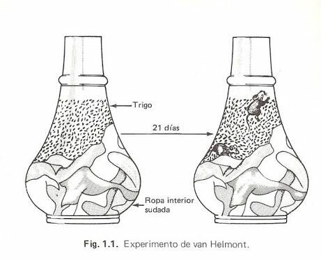van Helmont: experimentos de generación espontánea.