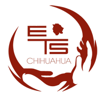 LICENCIATURA EN TRABAJO SOCIAL