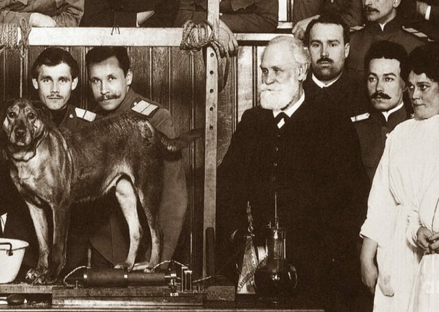 Ivan Pavlov e Ivan Petrovich 1889 D.C