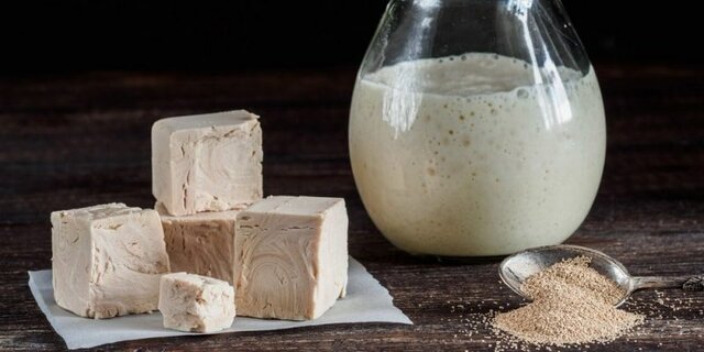 Conversión de azúcar y Fermentación de levaduras