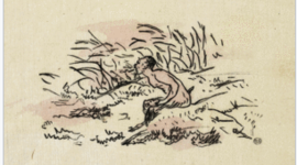 Timeline: Solo Sátiro