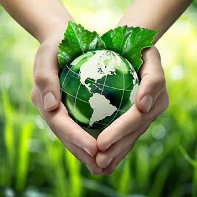 Timeline: Educación Ambiental Internacional