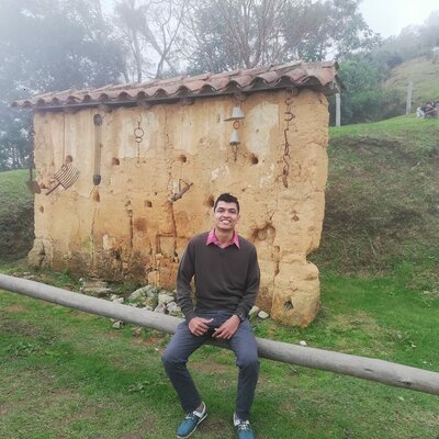 Timeline: My timeline hernan martinez