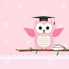 Secundaria Terminada