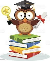 Licenciada en Derecho