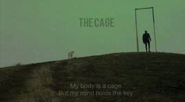 Timeline: საზამთრო