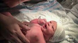 Timeline: BIO COMO HIJA