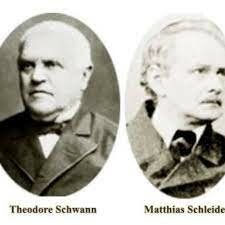 Matthias Schleiden y Theodor Schwann: desarrollan la teoría celular.