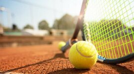 Timeline: TENIS