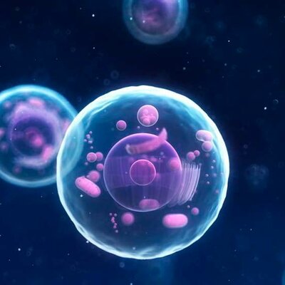 Timeline: TP célula primera parte: CITOLOGÍA