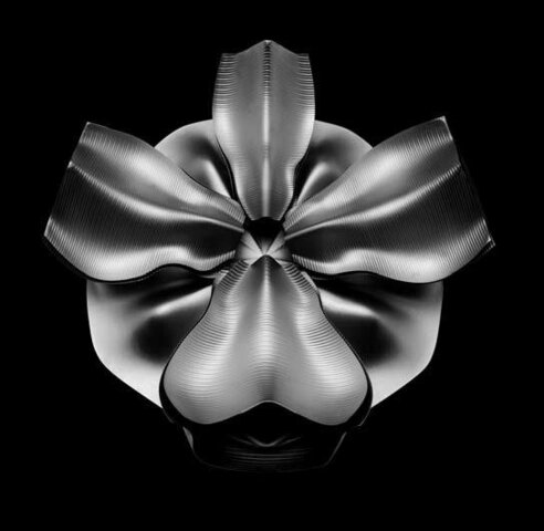 Animate Form, G. Lynn