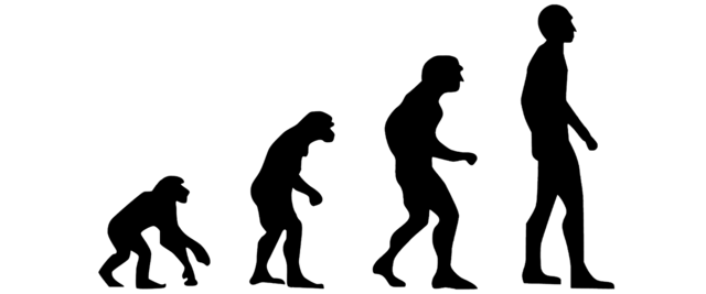 Compare l'uomo; Homo Habilis: andatura eretta, capacità cranica: 600-700 cm 3 Gli antenati dell'uomo