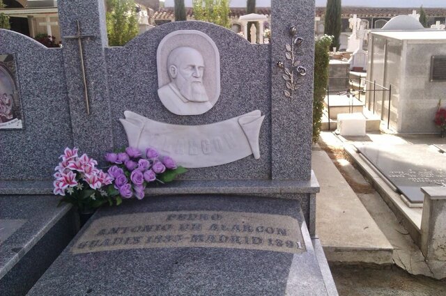 Muere de una encepalitis cerebral