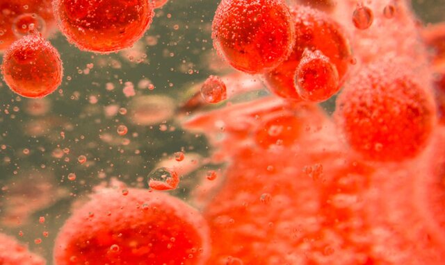 Cremas depilatorias hechas con sangre de animales