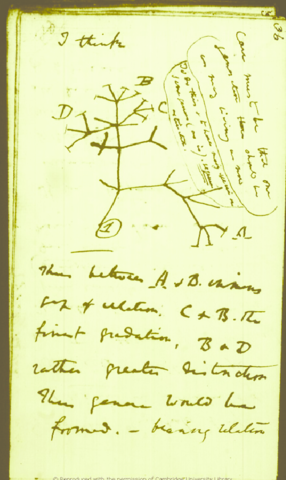 Fin del viaje del Beagle