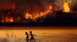 Timeline: Amazon Rainforest Human Impact, 20th Century