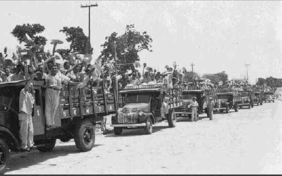 Rubber Soldiers Project