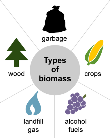 Biomass in the 1990s