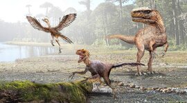 Timeline: LA EVOLUCIÓN DE LOS DINOSAURIOS