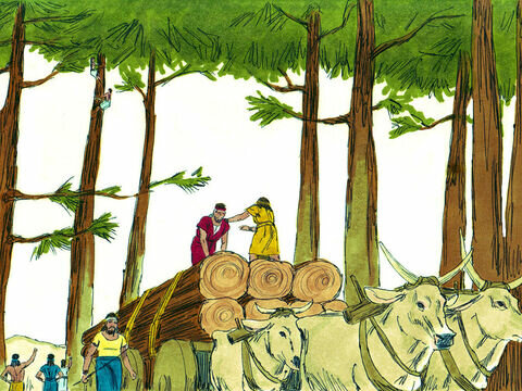 First Return (Zerubbabel)